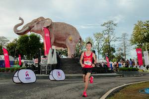 BIB: 
                            <button type="button" onclick="openModal(26529156)" class="btn btn-primary btn-sm float-right btn-popup" data-toggle="modal" data-target=".modal-high-quality">
                        <i class="fas fa-shopping-cart"></i> Add to Cart
                    </button>
                                            <button type="button" onclick="isThisMe(26529156, true)" class="btn btn-success btn-sm float-right btn-popup btn-isme hidden" data-toggle="tooltip" data-placement="bottom" title="นี่คือรูปของคุณใช่ไหม คลิกที่นี่เพื่อเอาเข้าอัลบั้ม">
                        <i class="fas fa-plus"></i> Add to album
                    </button>
                    <button type="button" onclick="isThisMe(26529156, false)" class="btn btn-warning btn-sm float-right btn-popup btn-isnotme hidden">
                        <i class="fas fa-ban"></i> Remove from album
                    </button>